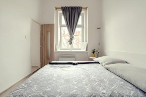 Studio 22 and 14 - close to сity сenter, Prague